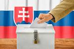 2024 슬로바키아 대선과 향후 정책 전망