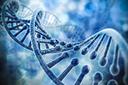 인류의 미래 재단할 3세대 유전자 가위 CRISPR/Cas9